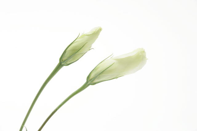 �C���[�W